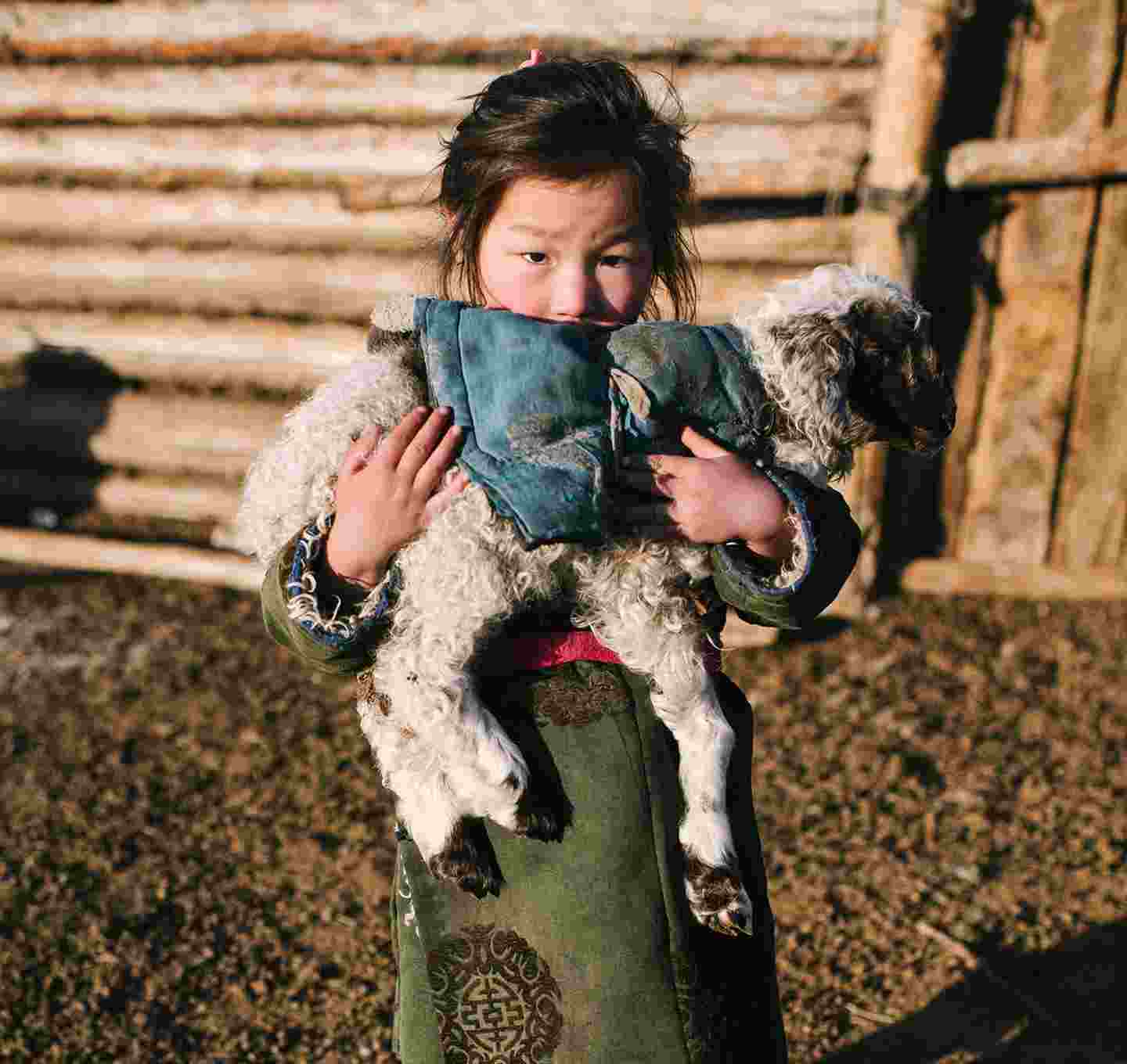Small Mongolian girl with a lamb on her lap.