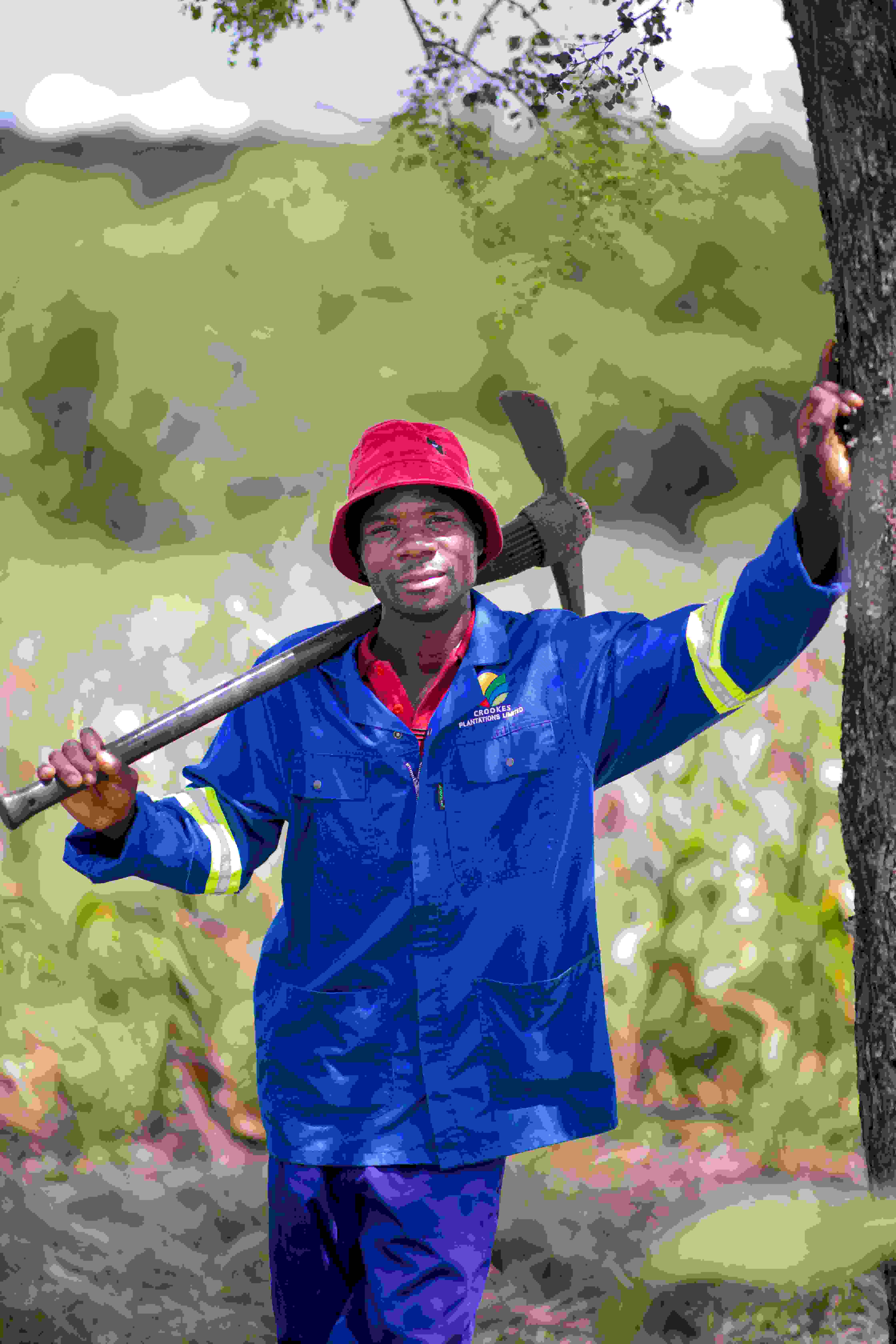 A smiling farmer standing in the forest.