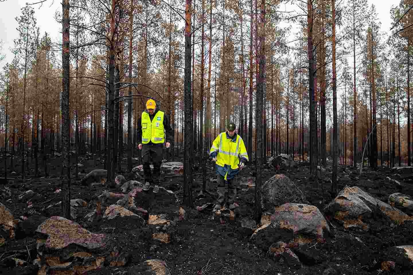 Two Voluntary Rescue Service volunteers wearing yellow vests walking in a badly burned forest.