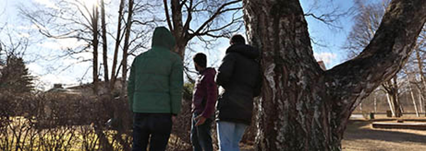 Three young immigrant men in a sunny park in autumn.