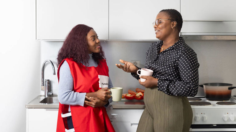 Support with integration