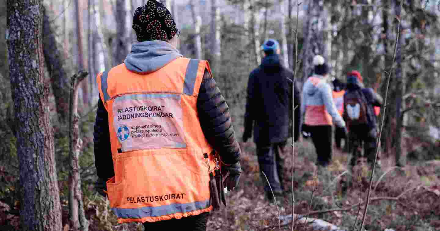 Volunteers wearing the Voluntary Rescue Service vests taking part in a search practice in a forest in winter.