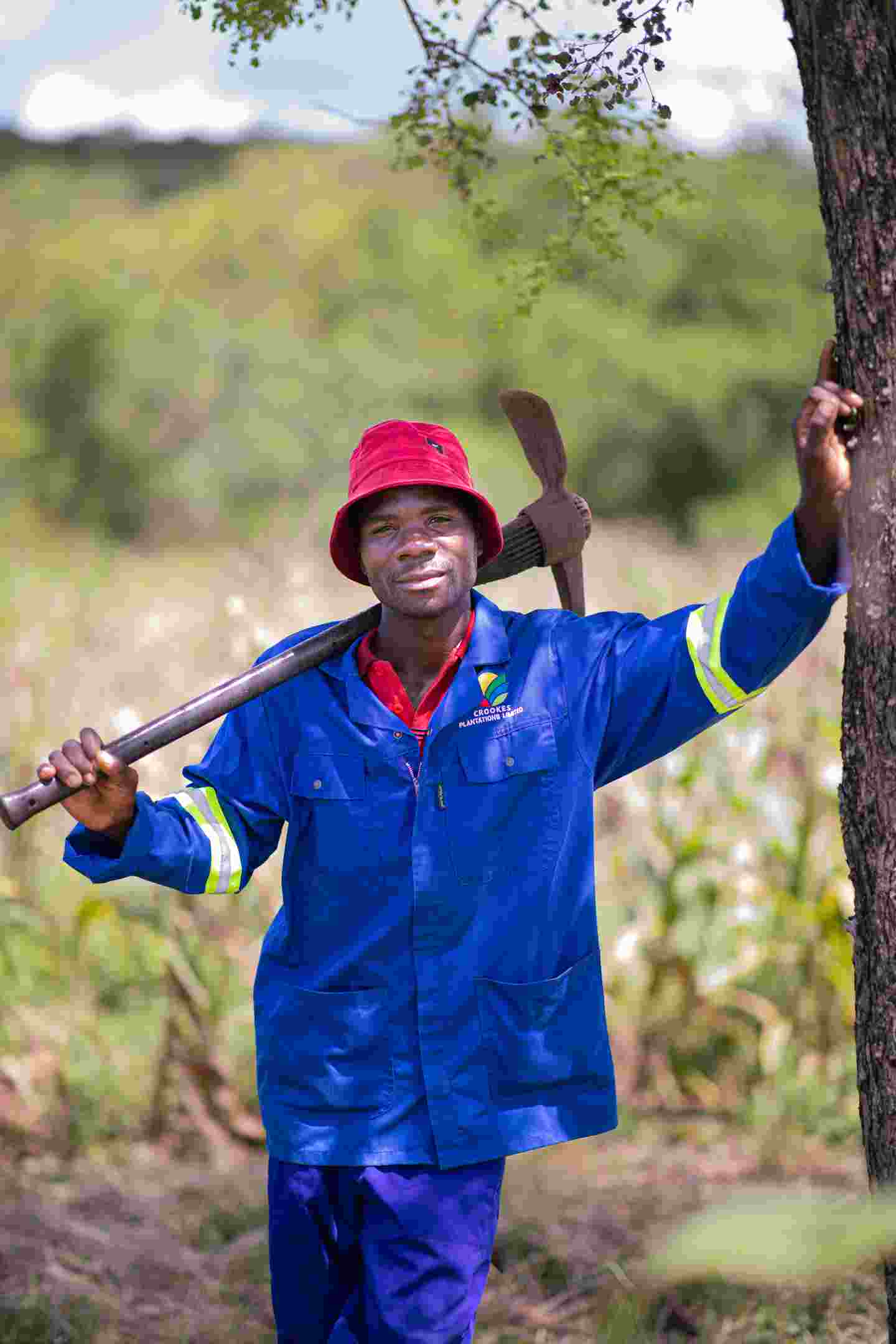 A smiling farmer standing in the forest.