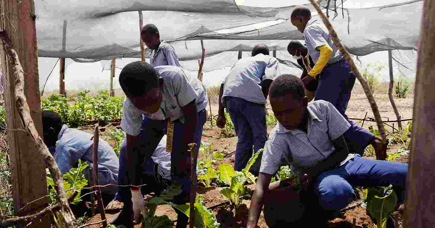 Young people in Kenya planting crops in school uniforms.