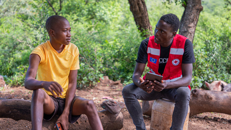 Development cooperation studies and reports