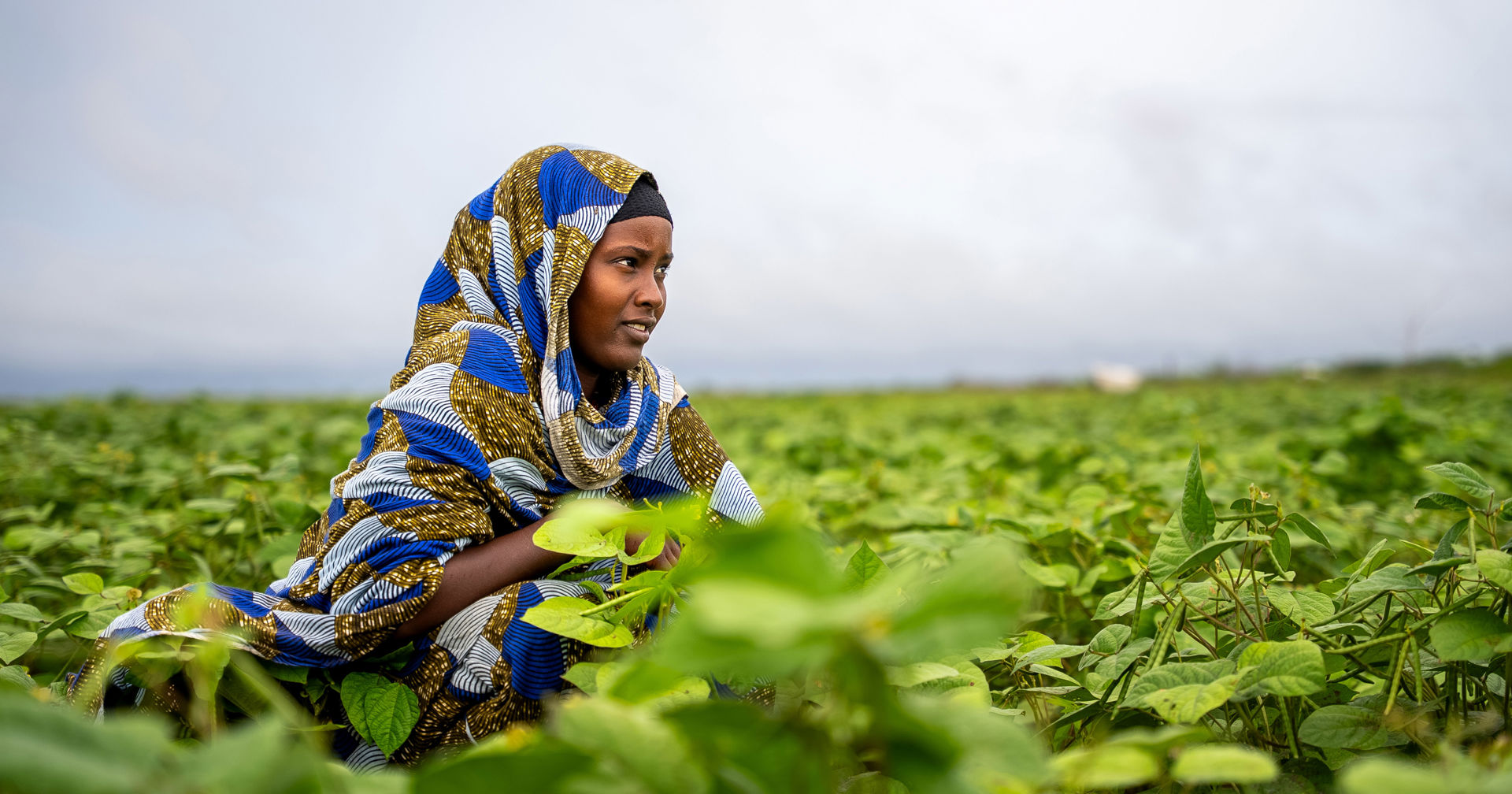 Dressed in colorful clothes, Hawo Yussuf is squatting on her green field.