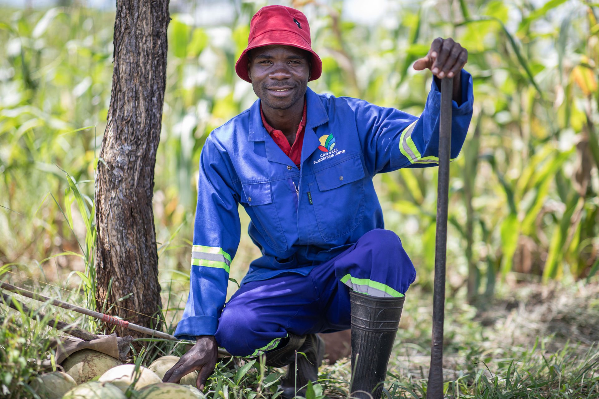 A smiling farmer, wearing overalls and holding a hoe.